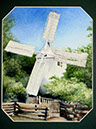 Torn Windmill