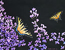 Butterfly Print